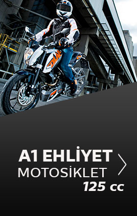 a1eh-mot